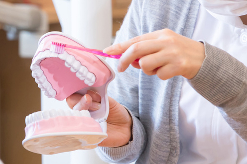 ブラッシング指導